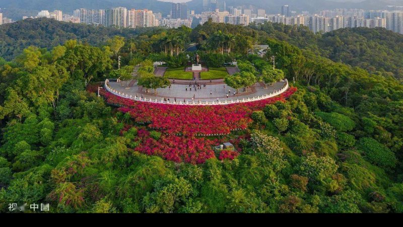 广东深圳莲花山