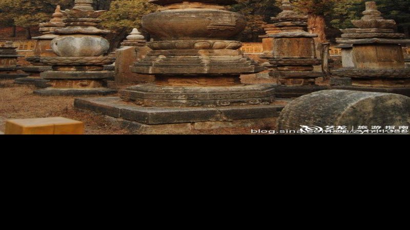 济南灵岩寺墓塔林