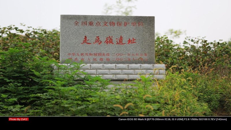 走马岭遗址