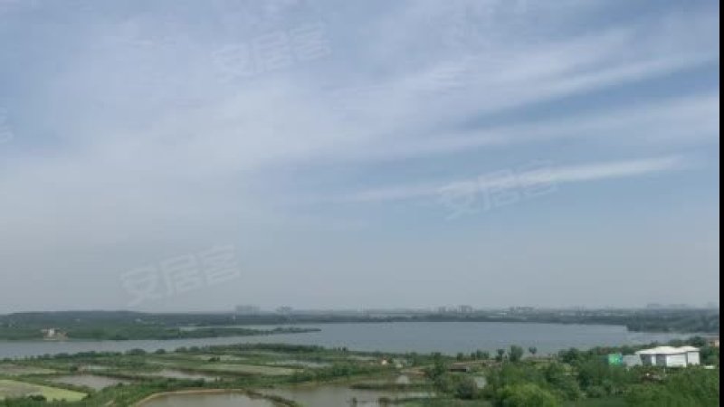 陶家大湖遗址