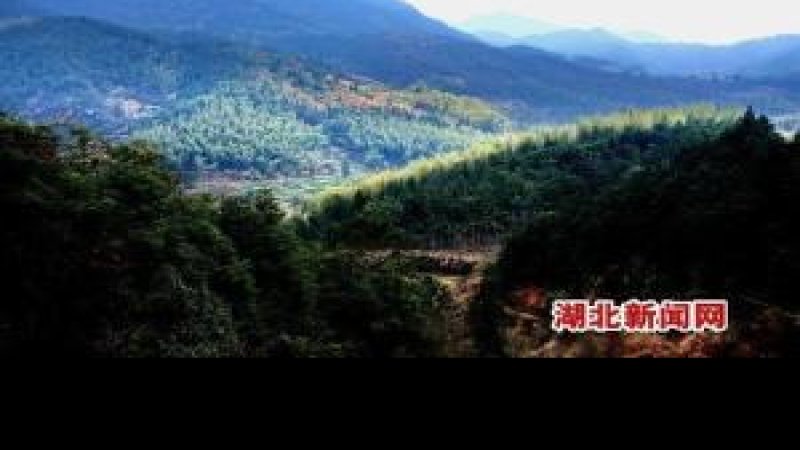 武穴横岗山