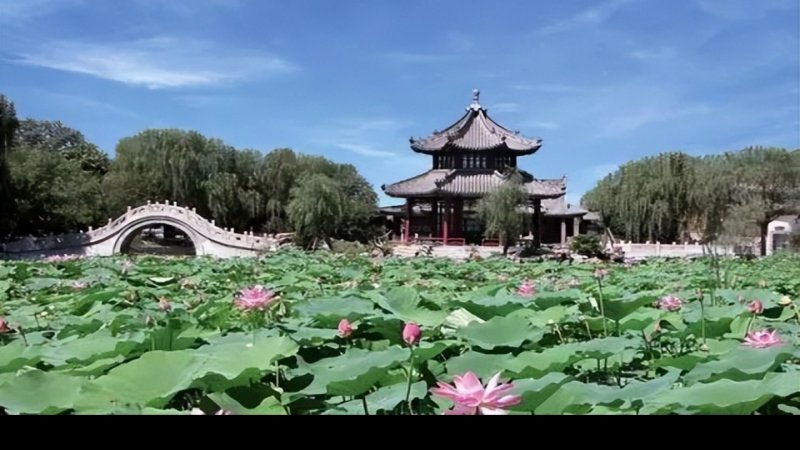 保定古莲花池