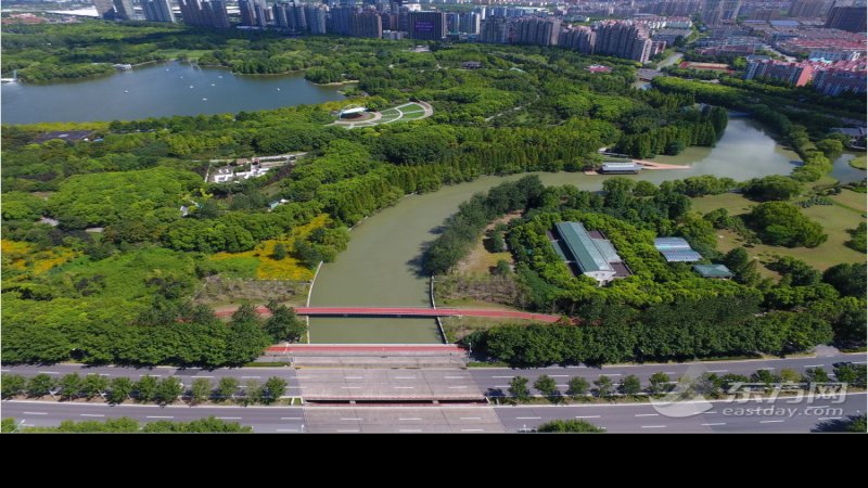 上海世纪公园