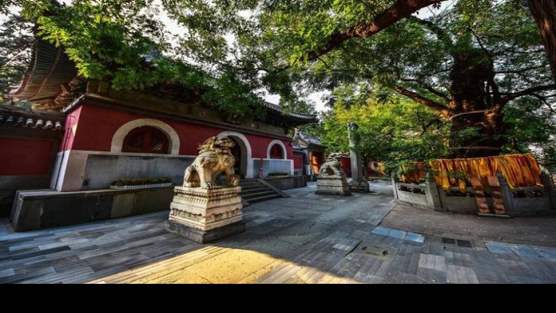 北京戒台寺