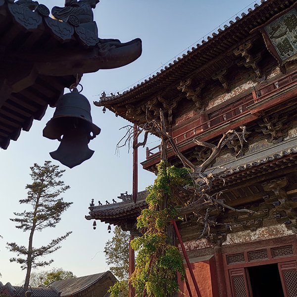 天津独乐寺 - 图片7