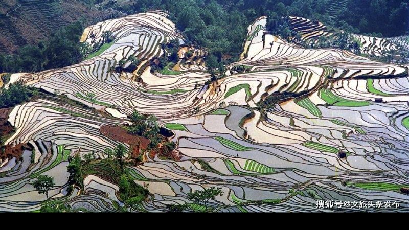 云南红河元阳哈尼梯田