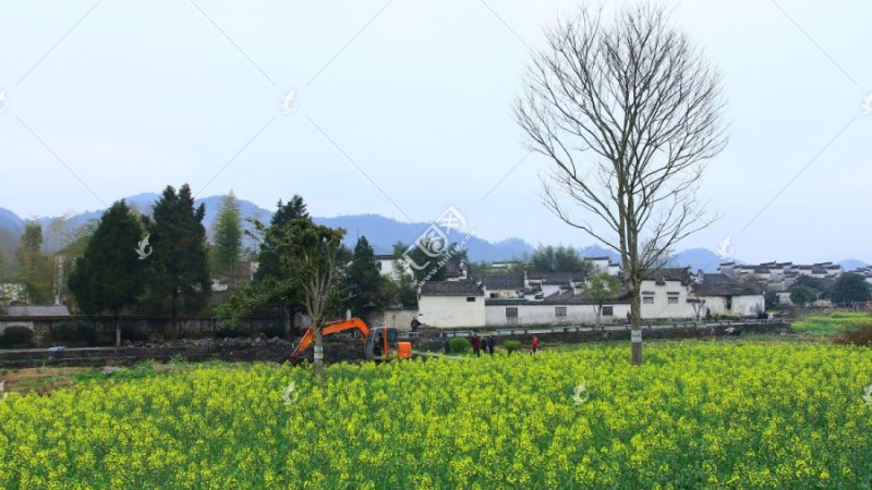 安徽黄山西递