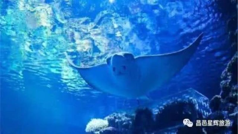 烟台蓬莱海洋极地世界