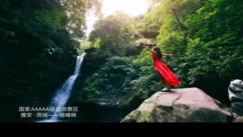 雅安碧峰峡