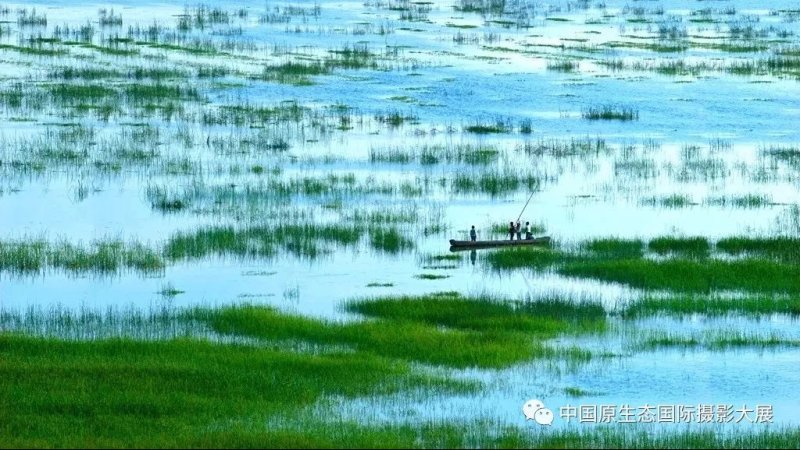 毕节草海