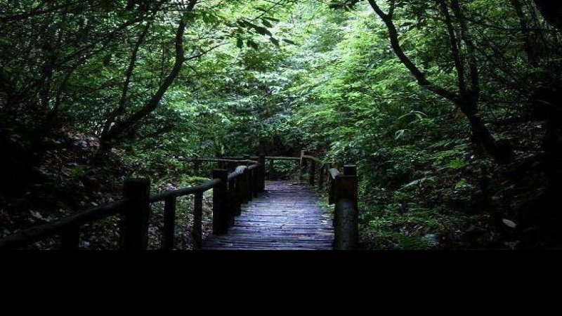 六盘水玉舍国家森林公园