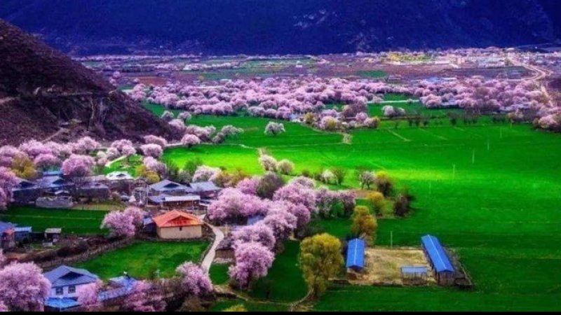 林芝波密桃花沟