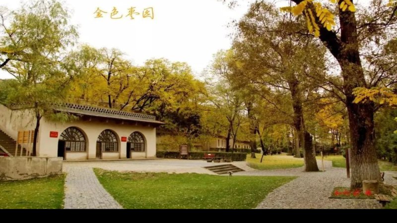 延安枣园