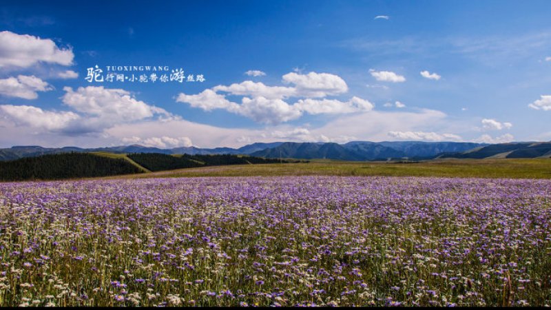 张掖康乐草原