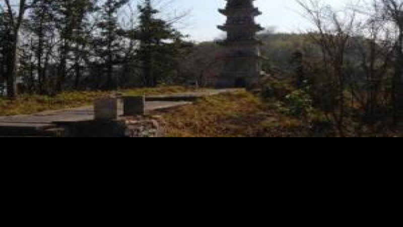 二灵塔