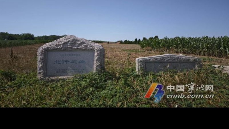 蘑菇山北遗址