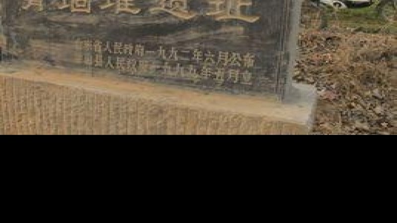 青堌堆遗址