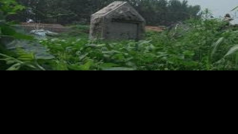 西皇姑庵遗址