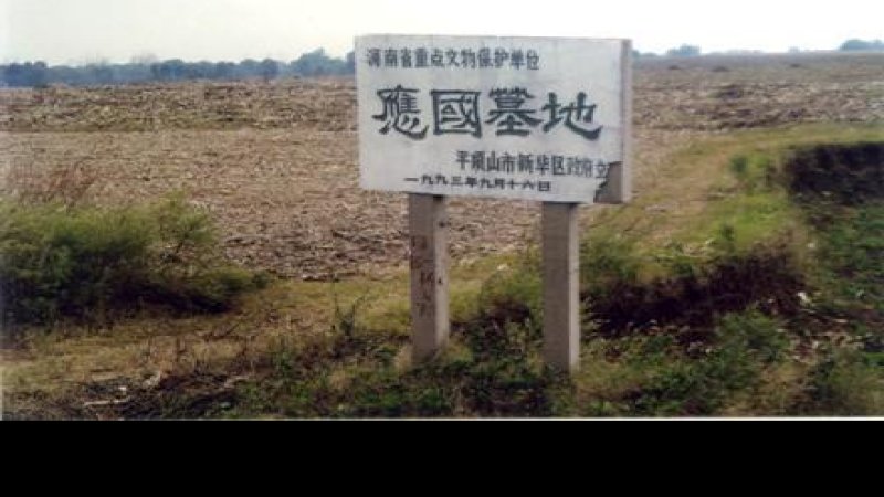 应国墓地