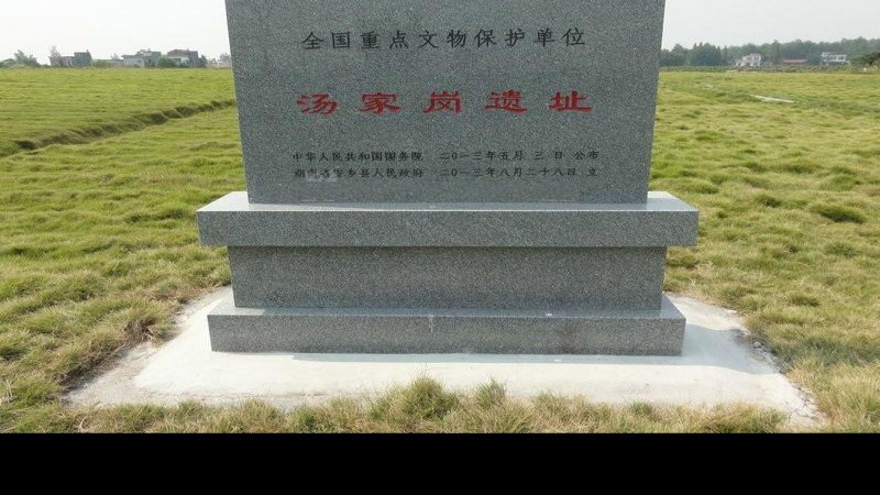 汤家岗遗址