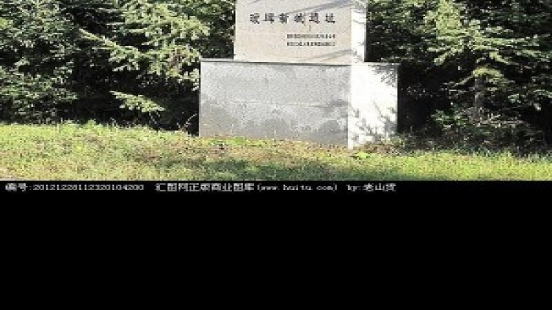 瑷珲新城遗址