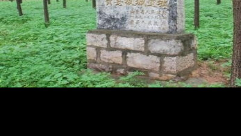 费县故城遗址
