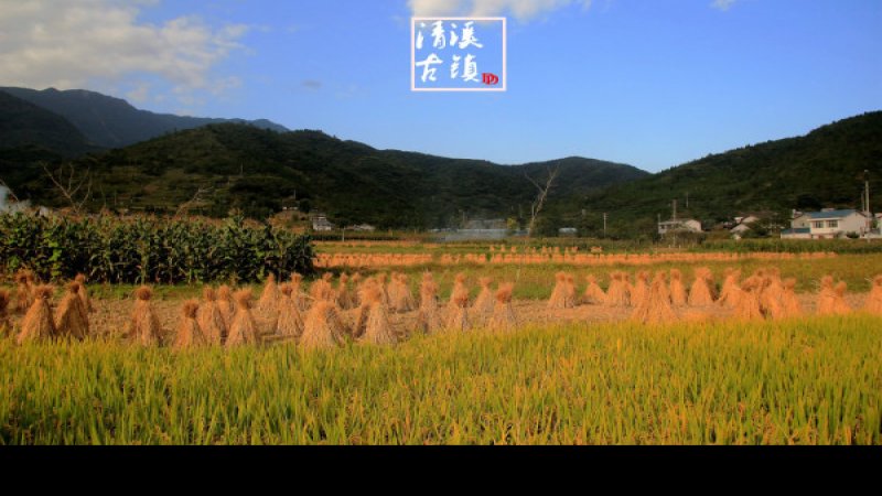 唐家河茶马古道