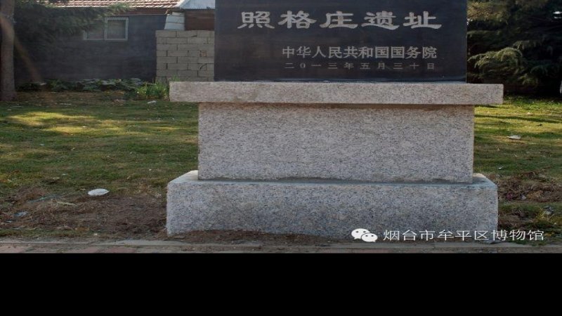 张贵庄遗址