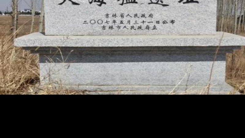 大海猛遗址