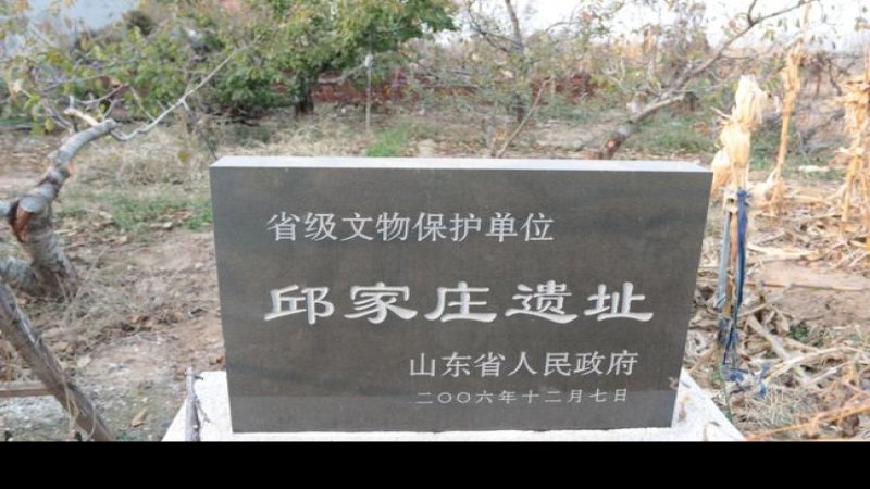 邱家庄遗址