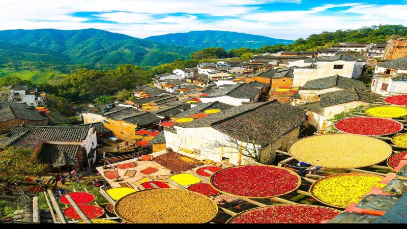 篁岭