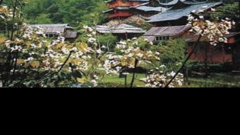 南昌梅岭