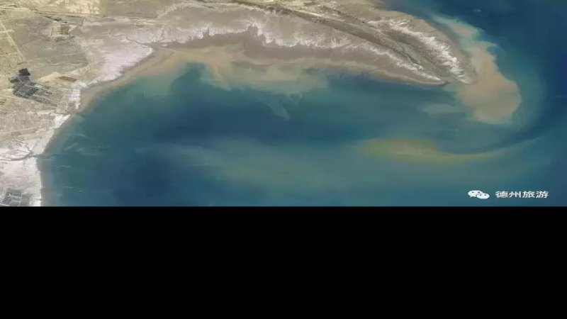 东营黄河入海口