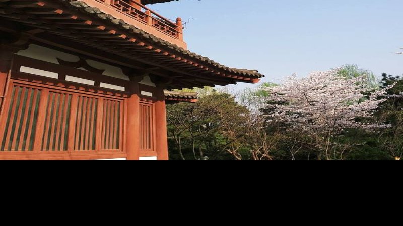 青龙寺