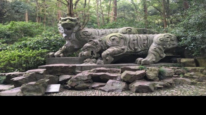 虎跑