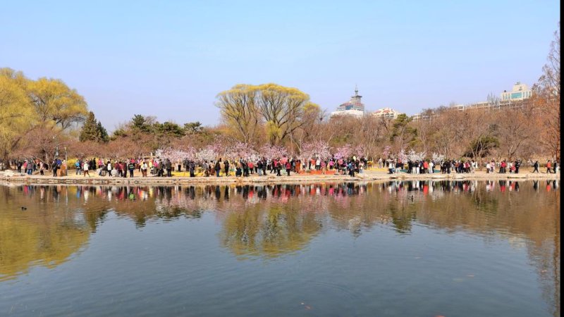 北京玉渊潭公园